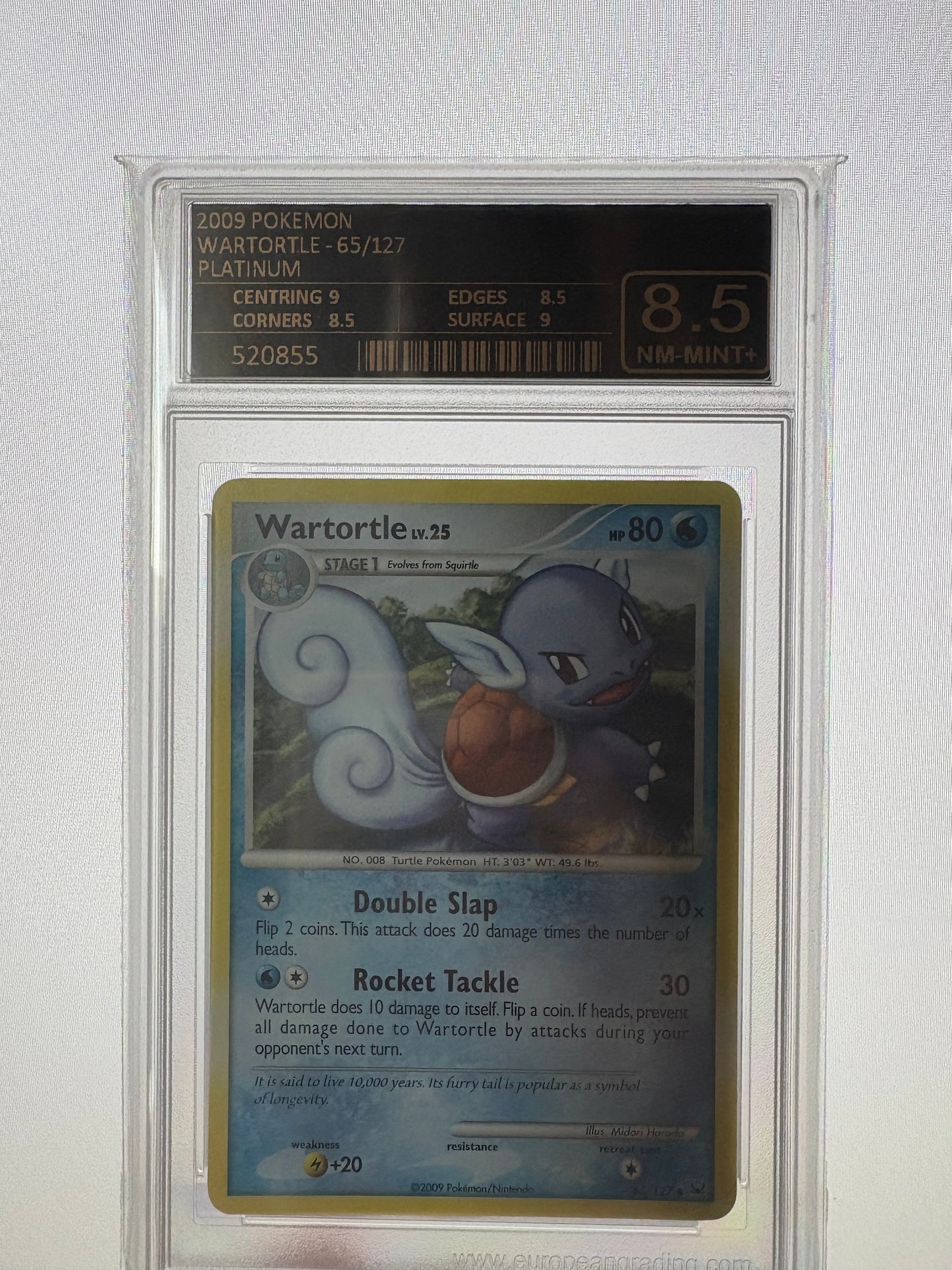Wartotle - Platinum - EG8,5