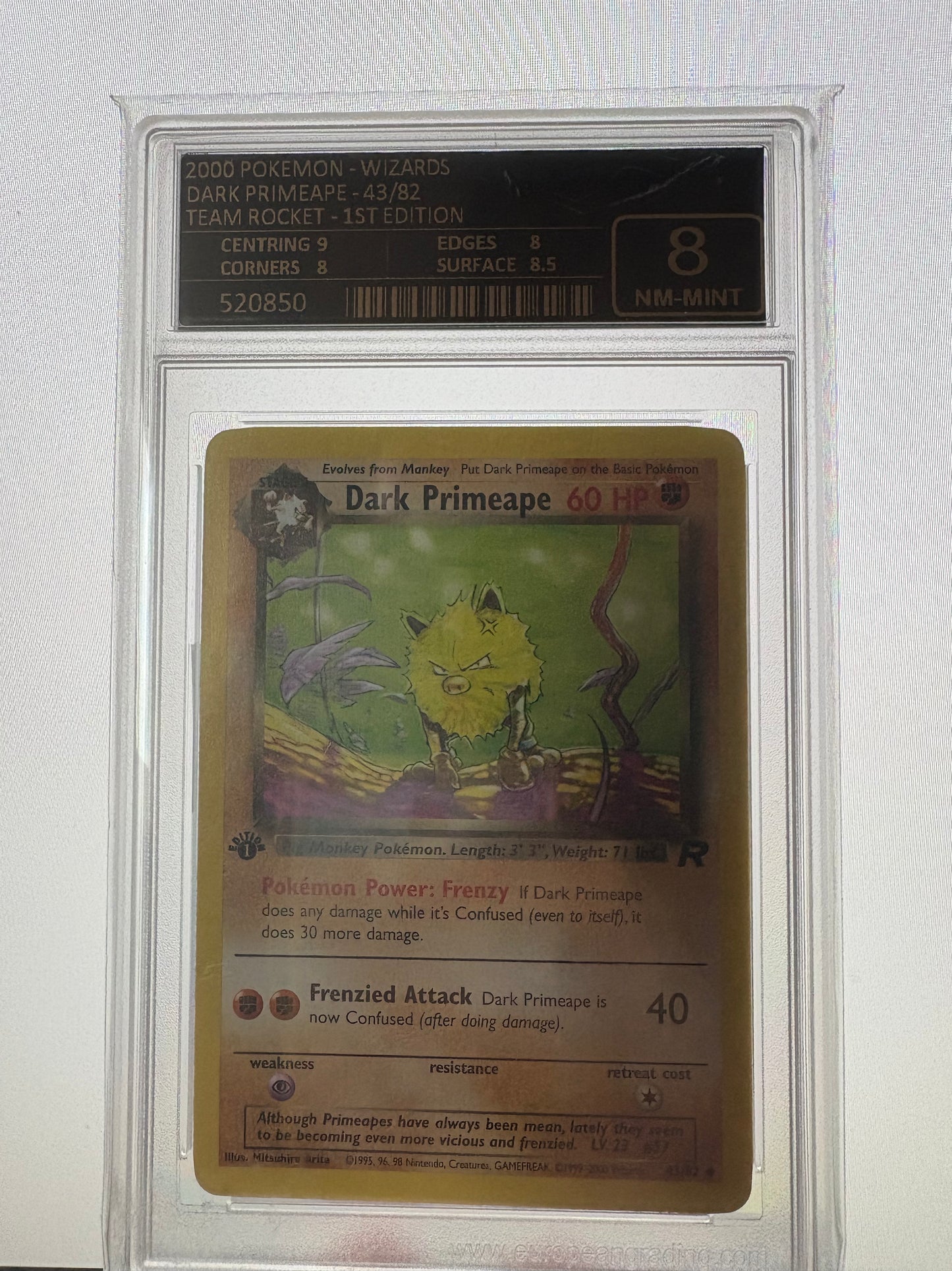 Dark Primeape - Team Rocket - 1st Edition - EG8