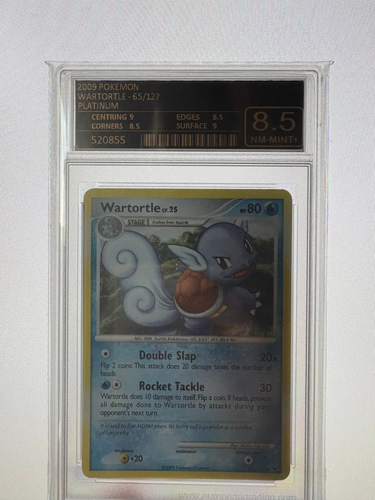 Wartotle - Platinum - EG8,5